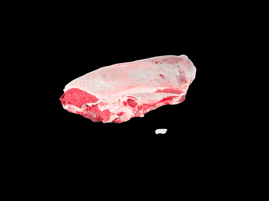 PULPA LARGA O GUSANO DE RES